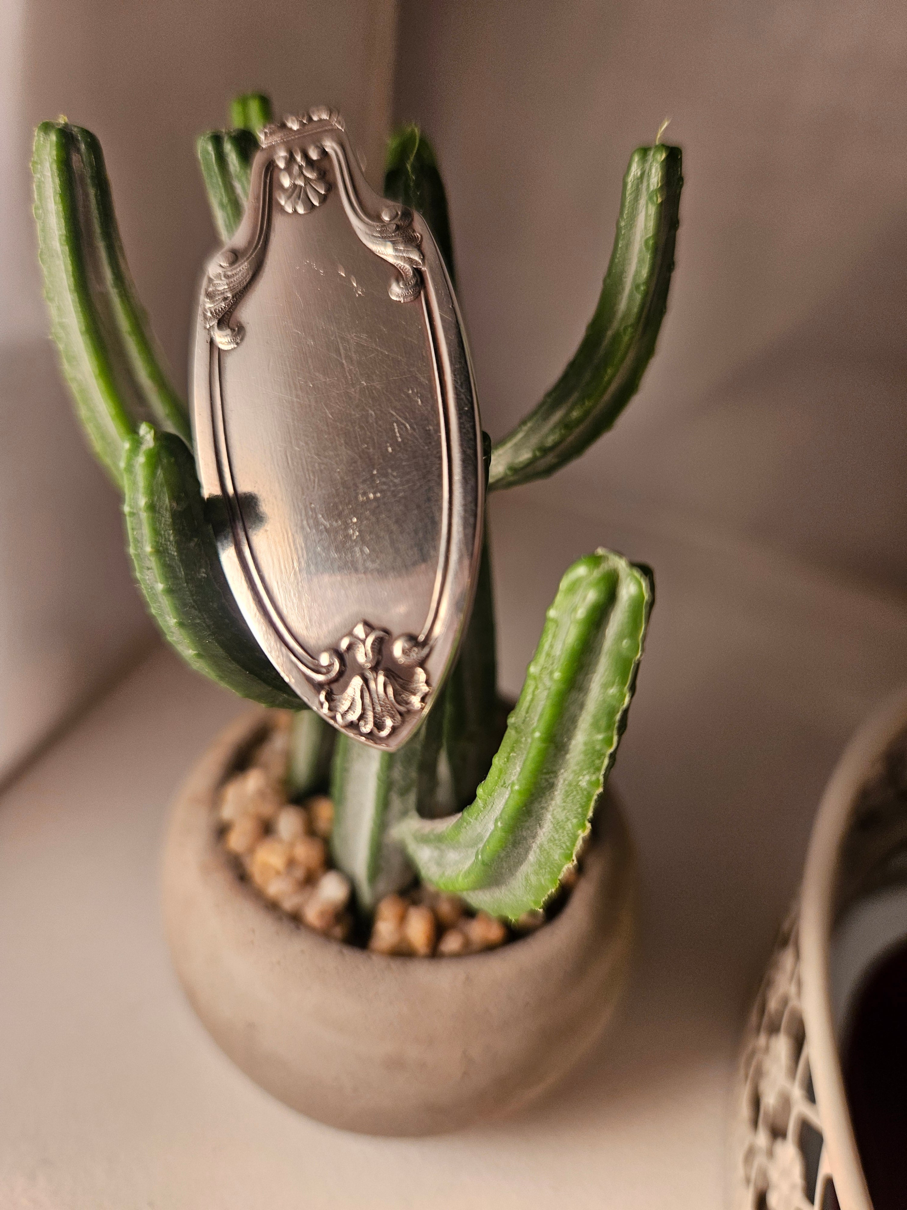 Bijou de cravate en argent